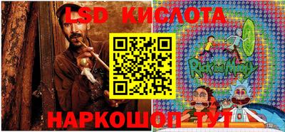 шишки Обь