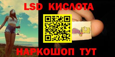 шишки Обь