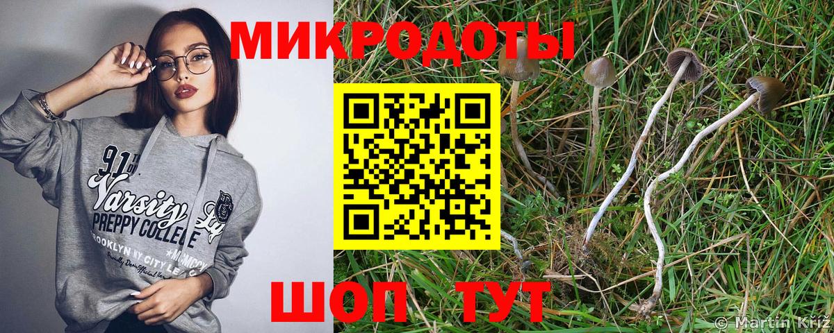 Геленджик  Псилоцибиновые грибы Psilocybine cubensis  Вход с VPN 